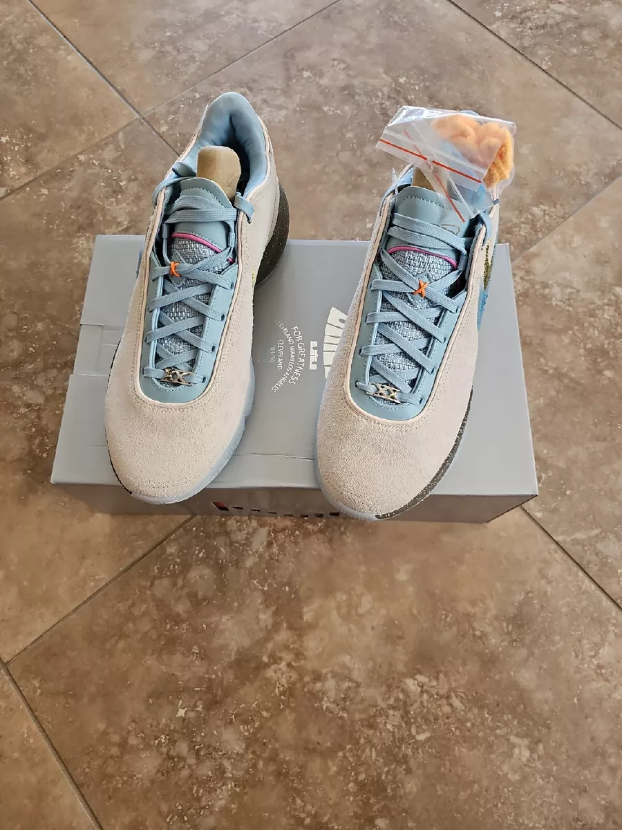Nike Lebron XX 20 UNKNWN 'Message In A Bottle' DV9090-801 Men **Size 13**