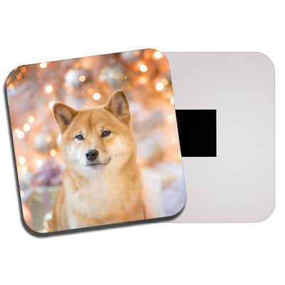 Shiba Inu Magnets A Magnet With A Dog Corpomediccommx