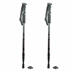 ebay hiking poles