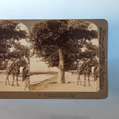 Kairo Ägypten Stereoview um 1895 Echtfoto Baum gesäumte Allee zu Pyramiden