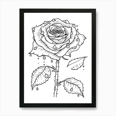 Rose Dew Line Drawing 1 Kunstdruck gerahmt Wandbild Poster Leinwanddruck Bild