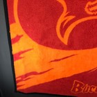 Bild 7 von 12