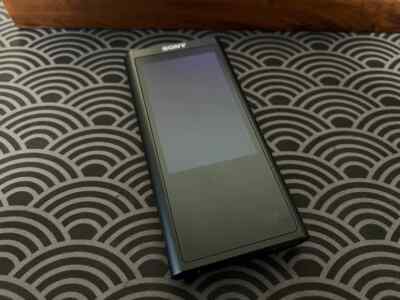 Sony NW-ZX300a Hi-Res Walkman Digital Music Player 16gb | eBay