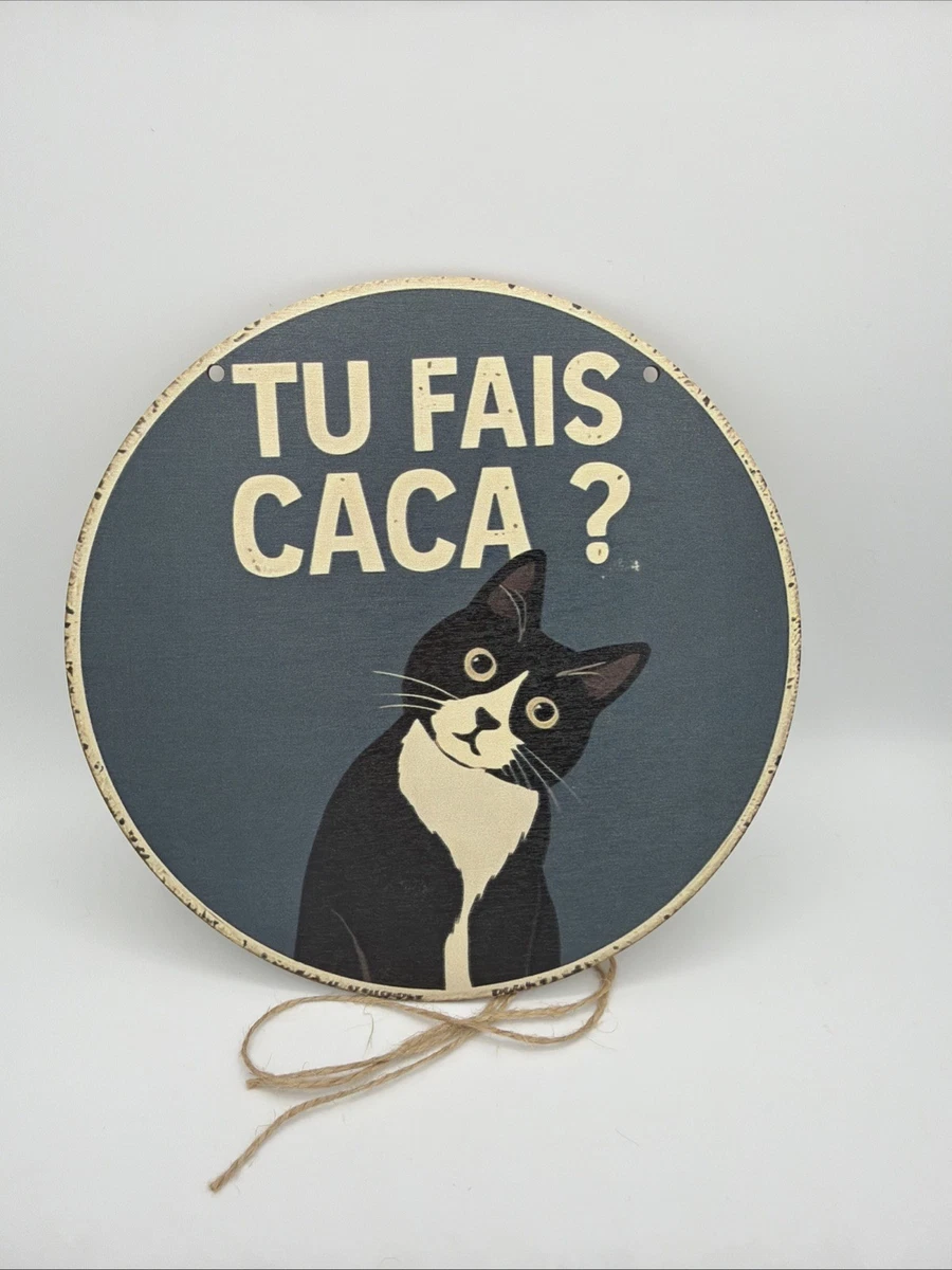 Plaque émaillée Humour 10x15cm : 'MALGRÉ LES APPARENCES, JE SUIS QUELQU'UN DE TRÈS SYMPA'