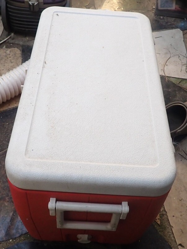 COLEMAN POLYLYTE ESKY COOLER 44L MELBOURNE eBay