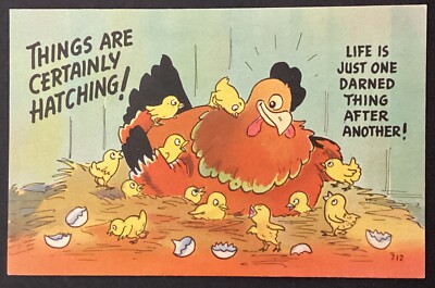 Chicken Chicks Things Are Hatching Vintage Comic Postcard Unposted