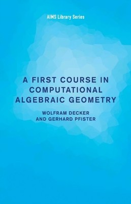 1ST COURSE COMPUTATIONAL ALGEB GEOM by DECKER WOLFRAM Paperback Self Help