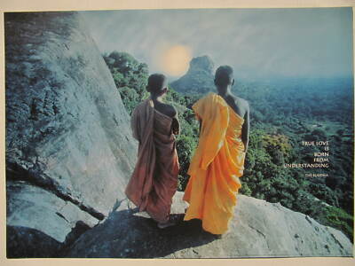 True Love is born from Understanding ( The Buddha ) Kunstdruck 50 x 70 cm