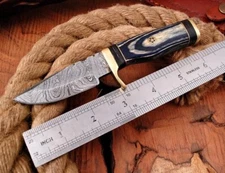 HANDMADE DAMASCUS STEEL SKINNING HUNTING CHEF KNIFE SURVIVAL POCKET SIZE MINI