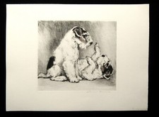 teilkor. Radierung Zwei s&uuml;&szlig;e Terrier um 1910 unbek.K&uuml;nstler 19,5 x 17cm signiert