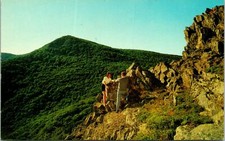 Shenandoah National Park VA Atop Stonyman Mt Postcard Unused (22307)