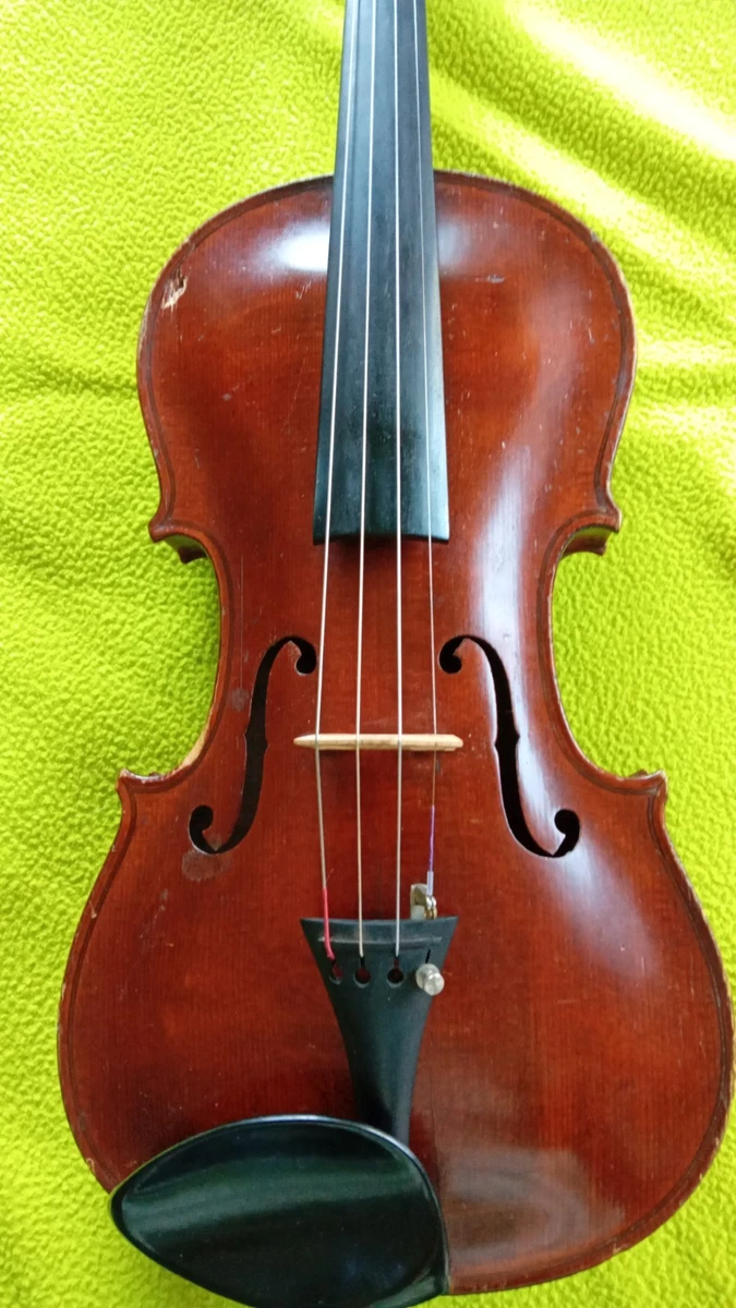 Cordal Violino | Accessori Per Il Violino - Luthier Vidal