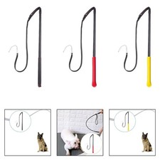 Fouet de dressage canin : outil d'obéissance, d'exercice et de