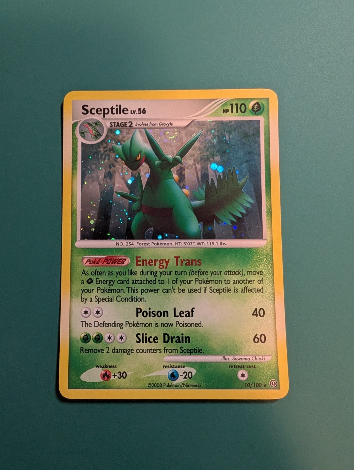 Pokemon Card 2008 Stormfront Holo Rare Sceptile 10/100 NM