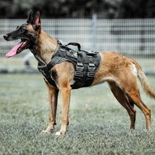Tactical Dog Harness K9 Dog Training Vest Adjustable Padded Police Service Do...