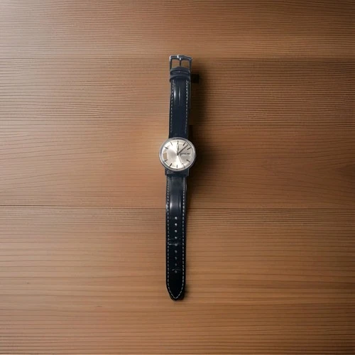 Vintage 1022 Omega Seamaster Automatic Watch With Day / Date | 1972