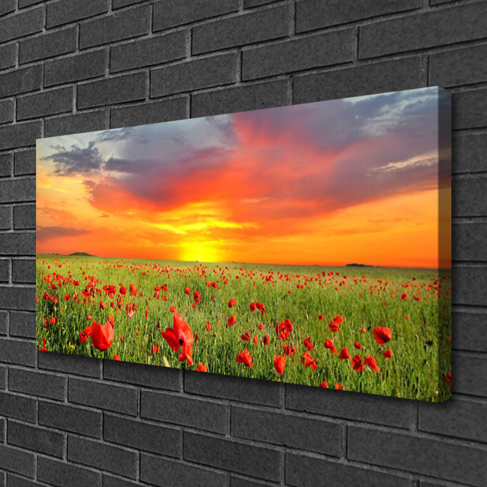 Image tableau coquelicots soleil 100x50cm pour apporter de la luminosité aux pièces sombres