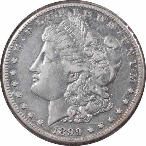 1899-o VAM 31 Morgan Silver Dollar Micro o EF Uncertified #132