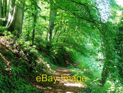 Photo 6x4 Three footpaths in one Tarlton This ordinary looking footpath b c2008