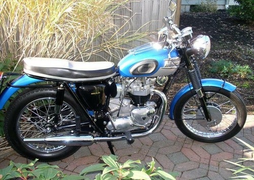3 WORLD MOTORCYCLE SPEED RECORD HOLDER gold Triumph tank shocks vinyl stickers - Picture 9 of 18