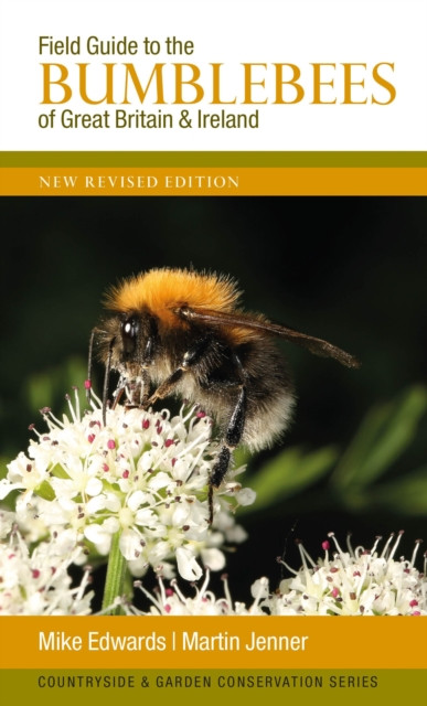 Field Guide to the Bumblebees of Great Britain and Ireland (Paperback Book)