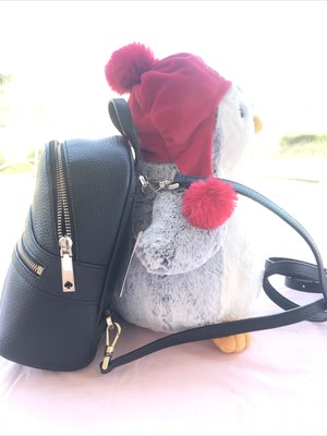 karina mini convertible backpack