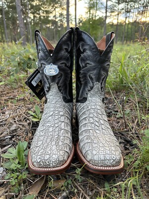 Dan Post Boots 