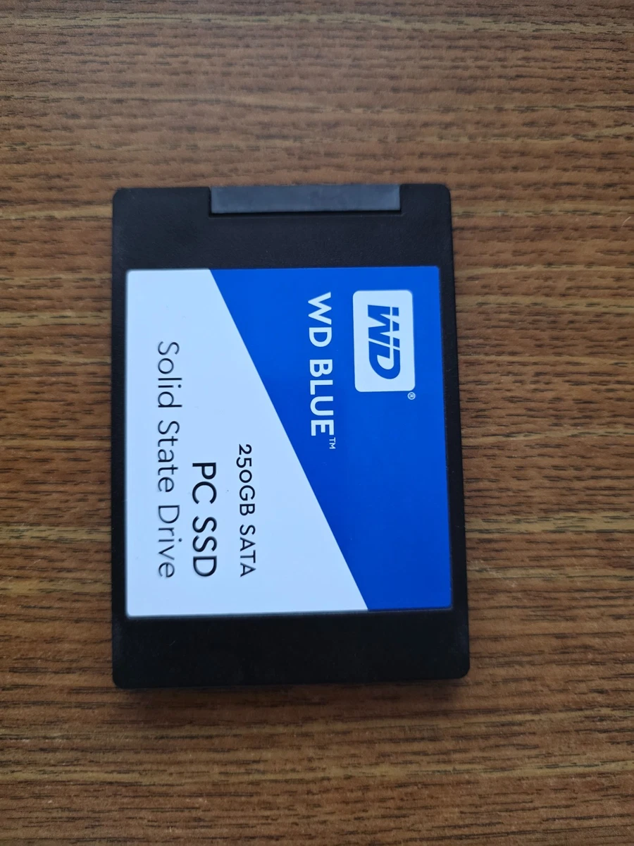 Western Digital SATA III 250GB Solid State Drives for sale | eBay