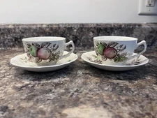 Harvest Time Johnson Bros 2  Tea Cup Saucer Sets Vintage Made In Eng 