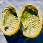2 Abalone Shells Australia SeaShell Rainbow Green Red Pearl Polished Shell — photo 3