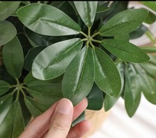 Reptile Artificial Plants- Free Shipping - Umbrella Plant