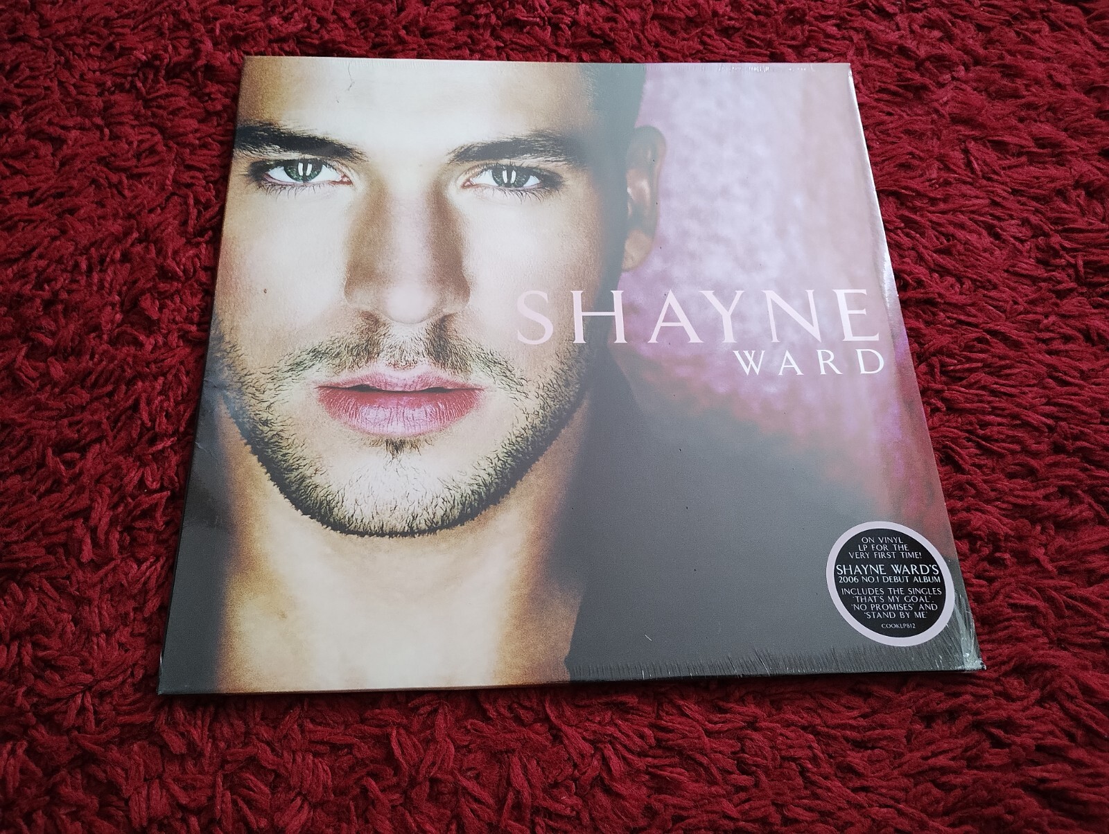 SHAYNE WARD - Shayne Ward - Vinyl LP *NEW & SEALED*
