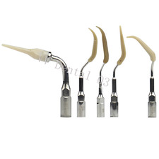 Dental Ultrasonic Dental Scaler Tips for EMS Implant Ceramic Orthodontic Teeth