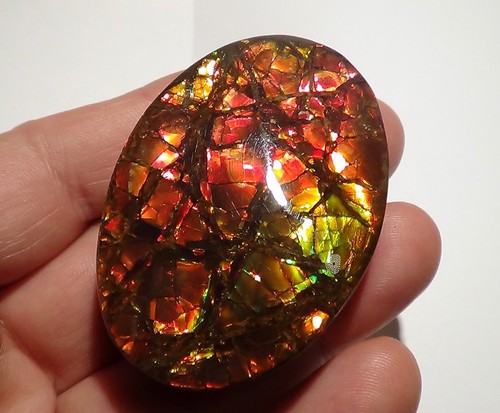 350 Carat.!! I Sammler Ammolite /Drachenschuppe Rot Grün-Golden-Orange + VIDEO - Picture 5 of 6