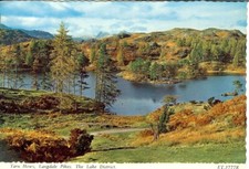 Tarn Hows, Langdale Pikes, The Lake District - Posted 1982 - Bamforth