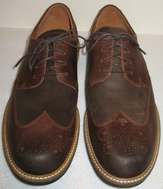ecco kenton brogue