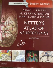 Netter Basic Science Ser.: Netter's Atlas of Neuroscience by M. Kerry O'Banion,