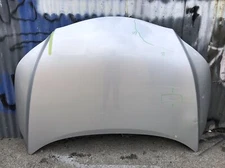 2016 2017 2018 2019 2020 2021 2022 LEXUS RX350 RX450 HOOD OEM