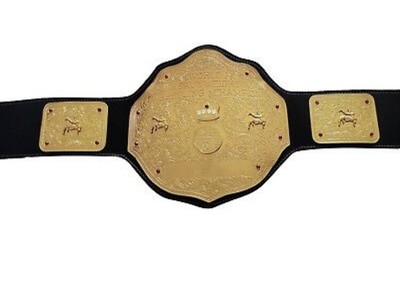 wcw world heavyweight championship