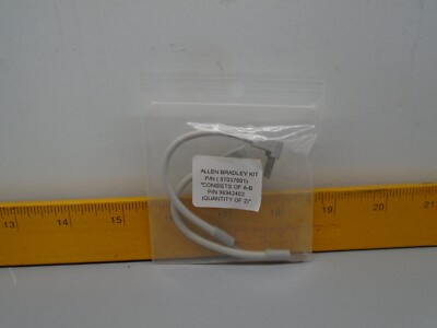 New old Stock  Allen Bradley  1794-CJC2  Cold Junction Compansators Sensor N43