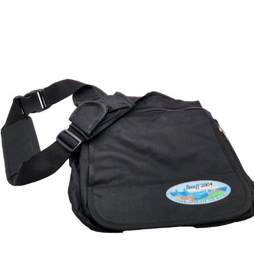 Travel Bag Carry On Tote Laptop Briefcase Home INTERIOR Pockets 14"x12"x8"