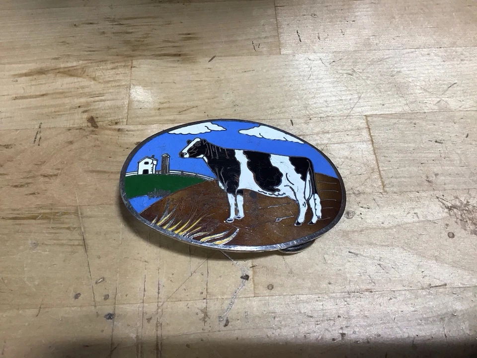 Vintage Dairy Cow Holstein Belt Buckle, Ace Supply Elgin Illinois. 1980s - Image 2 of 3
