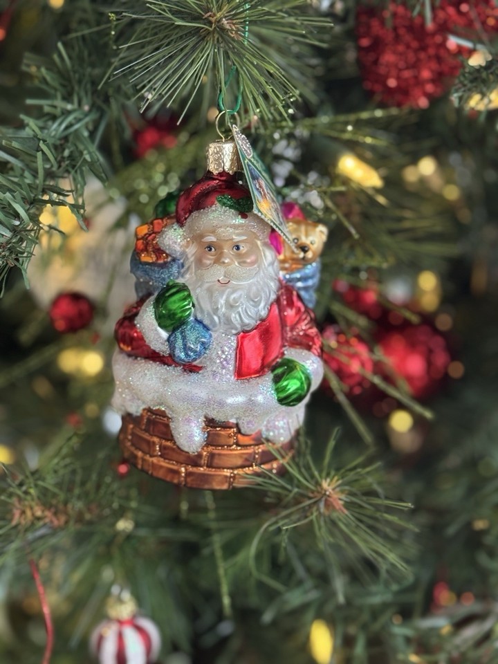 Old world christmas ornaments ebay