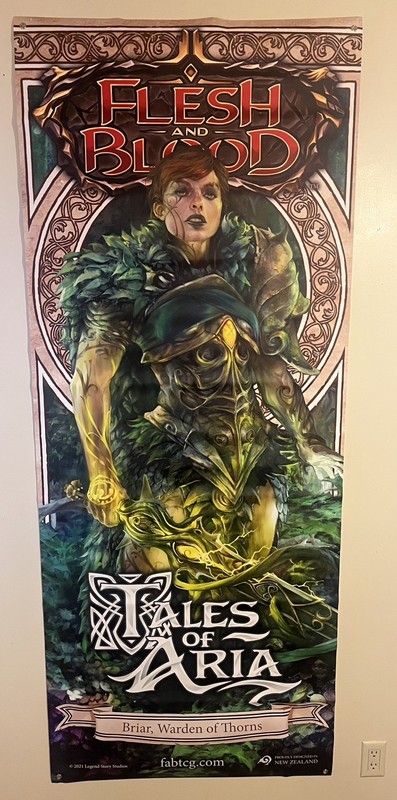 Flesh and Blood FAB- Vinyl Banner Promo Poster 31x78 Briar, Warden of Thorns