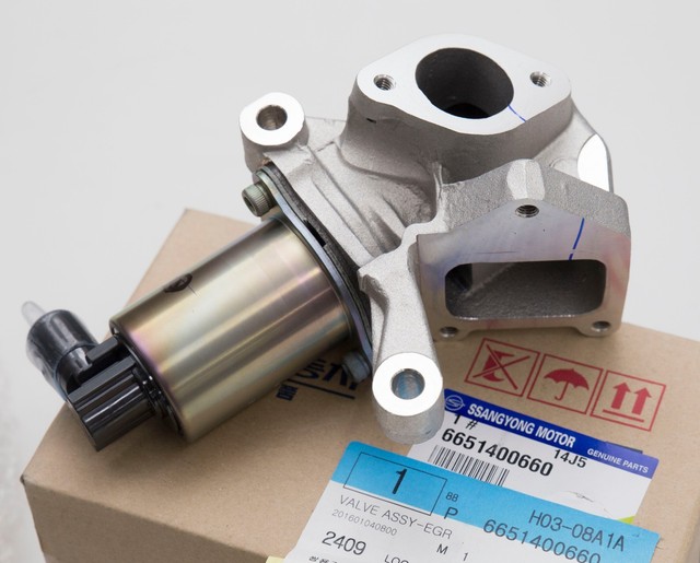 Kyron ssangyong egr