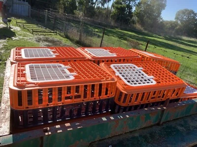Chicken Crates For Sale 55 Each Livestock Gumtree Australia