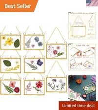 Elegant 8-Piece Floating Picture Frames - Gold Brass for Dried Flowers  Photos