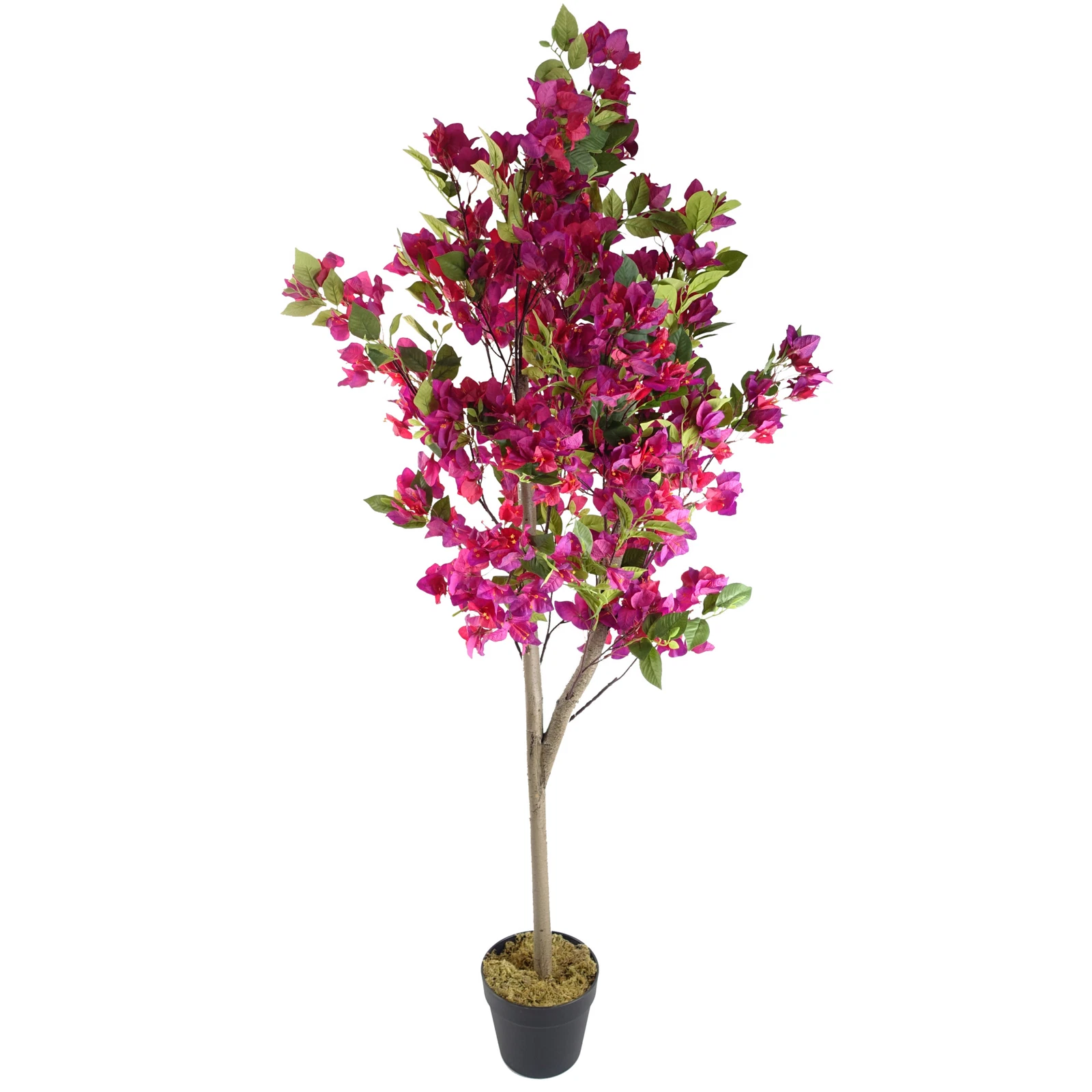 150cm Bougainvillea - 40793