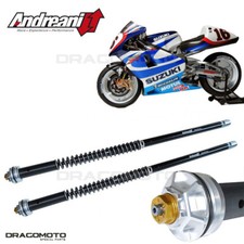 SUZUKI RG 500 Gamma 1985-1989 cartuccia ANDREANI 105/S12E MISANO