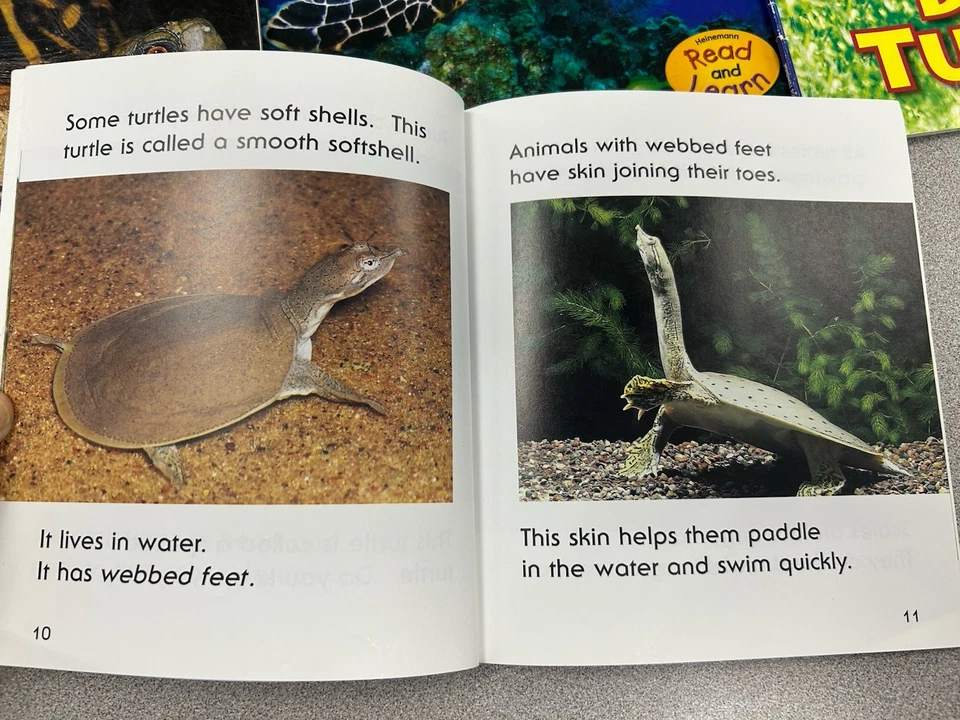 13 Kids Books Lot About Turtles Homeschool Classroom Library Fiction /nonfiction - Image 4 of 4